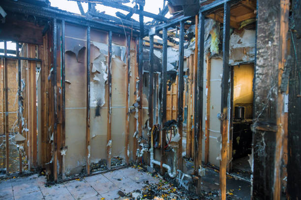 Professional Fire Damage Removal technician working in Saint Petersburg, FL