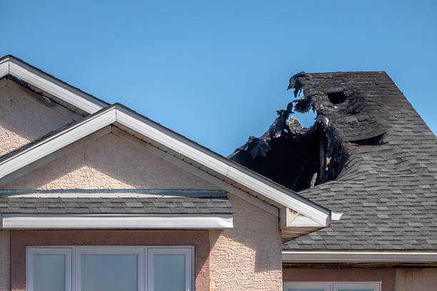 Top rated local Fire Damage Removal specialists in Saint Petersburg, FL